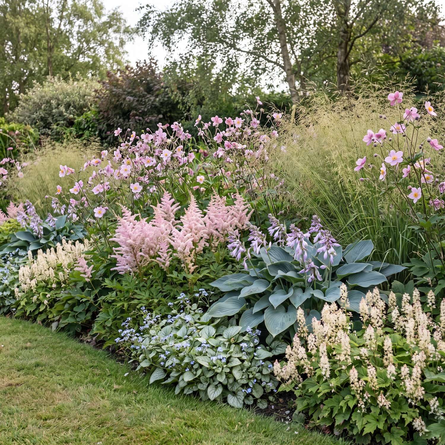 Perennapaketti 'Hortensian eteen' (1,5-2m²)